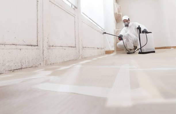 Black mold remediation team in McSherrystown