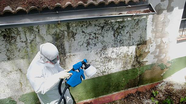 Mold Remediation service in McSherrystown, McSherrystown, PA
